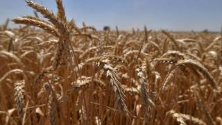 Губернатор поручил проработать меры поддержки сельхозпроизводителей при подготовке к осеннему севу