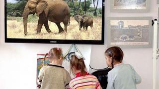 День всех слонов – Слоноуин в музее-заповеднике Ставрополя