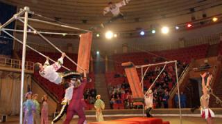 «На грани экстрима» в Ставропольском цирке