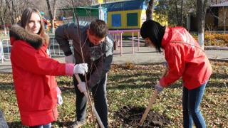 Волонтеры высадили в Центральном парке Невинномысска более 200 деревьев