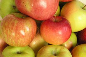 В нескольких партиях яблок из Польши обнаружены опасные для здоровья пестициды