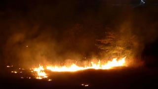 В окрестностях Кисловодска вновь горят леса