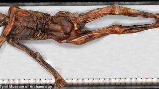 У 5300-летней мумии «ледяного человека» нашлись живые родственники