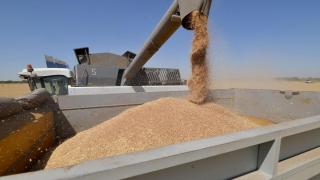 На Ставрополье собрано 7 миллионов тонн зерна