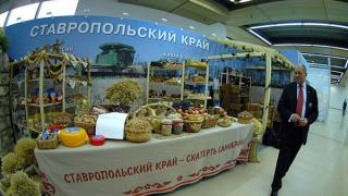 Ставрополье на выставке «Золотая осень-2010» в Москве представляют 70 предприятий АПК