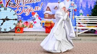 В Будённовске прошёл новогодний карнавал