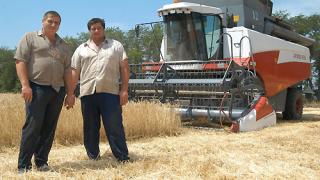 В Колхозе Терновском убрали более 60 процентов зерновых