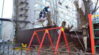 Более 50 обращений приняли спасатели в Ставрополе в связи с ураганным ветром