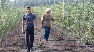 600 га новых садов будут заложены в 2018 году на Ставрополье