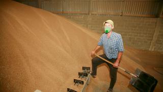 Ситуацию на внутреннем зерновом рынке обсудили на совещании в Ростовской области
