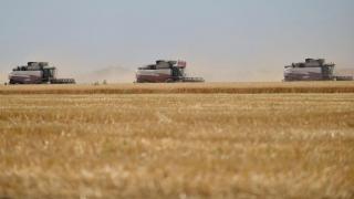 Средняя урожайность зерновых на Ставрополье около 34,6 центнеров с гектара
