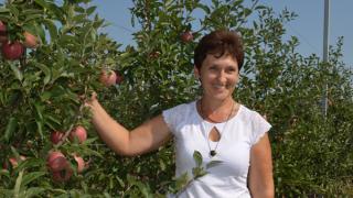 В Ставропольском крае развивается садоводство интенсивного вида