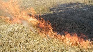 Меры борьбы против сжигания стерни обсудили в Александровском