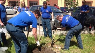 Акцию «Посади дерево» организовали сотрудники МЧС Ставрополья