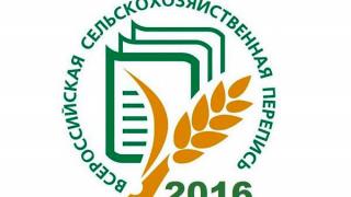 Всероссийская сельскохозяйственная перепись завершилась на Ставрополье