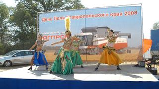 Ставрополье провело выставку «День поля»