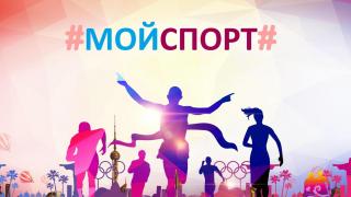 На Ставрополье определены пилотные организации для работы на платформе «Мой спорт»