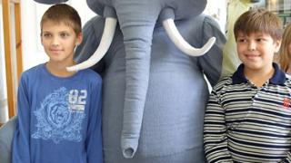 День всех слонов – Слоноуин проводят в ставропольском музее-заповеднике им. Г. Прозрителева и Г. Праве