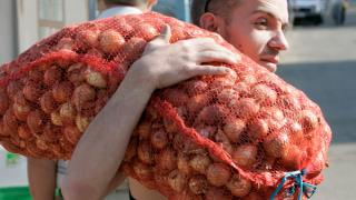 Акция «Овощи к подъезду» проходит в Ставрополе