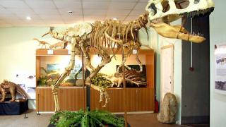 «Мир динозавров» приехал в Ставропольский музей-заповедник