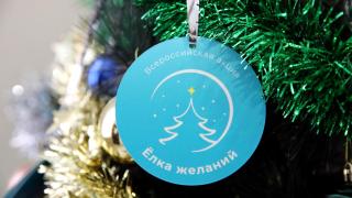 В Кочубеевском округе Ставрополья для детей Донбасса установили «Ёлку желаний»