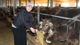 Первую семейную ферму в Степновском округе Ставрополья открыла женщина