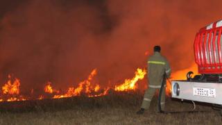 Пожарные спасли от полного уничтожения огнем пасеку в Петровском районе