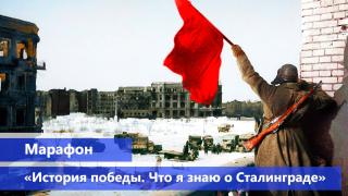 СКФУ подводит итоги патриотического марафона «История победы. Что я знаю о Сталинграде»