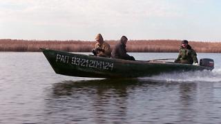 Массовая гибель рыбы зафиксирована в ставропольском краевом заказнике «Вшивое озеро»