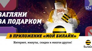 Ставропольцам приготовили новогодние подарки в «Мой Билайн»: интернет, минуты, скидки