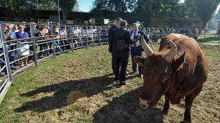 На Ставрополе прошла краевая сельскохозяйственная выставка
