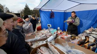 Ставрополье – в пятерке ведущих регионов по производству рыбы