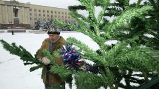 Главная новогодняя елка Ставрополья