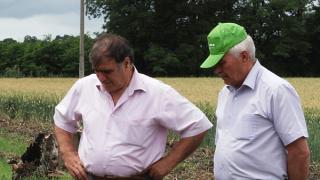Министр сельского хозяйства А. Мартычев оценил будущий урожай при объезде полей Кочубеевского района