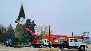 Новогоднюю ёлку установят в Пятигорске к 1 декабря