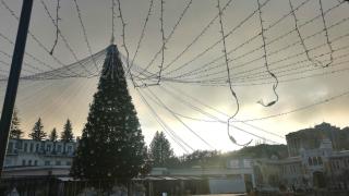В Кисловодске на Курортном бульваре устанавливают пятиметровую ель