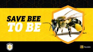 «Билайн» запустил информационную платформу для предотвращения гибели пчёл