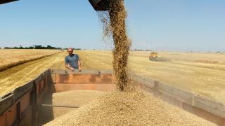 7,7 млн тонн зерна собрано на Ставрополье, осталось менее 5% площадей