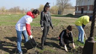 В Курсавке волонтеры посадят розы на благоустроенных ранее территориях