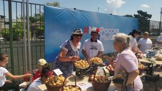 Молодому картофелю в Грачёвском округе посвятили фестиваль
