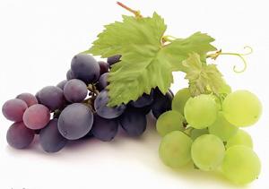 На Ставрополье началась уборка винограда