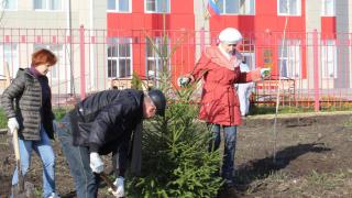 Тысячи волонтеров Ставрополя убрали город от мусора и высадили новые деревья