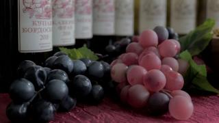 Три предприятия Ставрополья в десятке ведущих производителей вин и коньяков