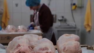 Ставрополье на третьем месте в России по производству мяса птицы