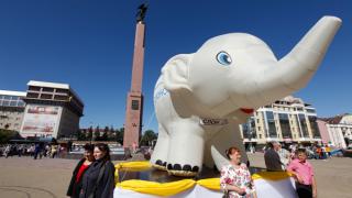 Проект «Ставрополье – родина слонов» вышел на улицы краевого центра
