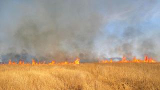 Более десятка возгораний полей во время уборочной произошли на Ставрополье