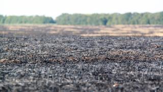 На Ставрополье поле ячменя чуть не сгорело из-за беспечности фермера в Курском районе