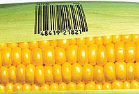 Генетически модифицированные продукты