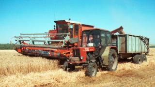 Ставропольская пшеница урожая 2010 года весит уже 6,3 млн. тонн