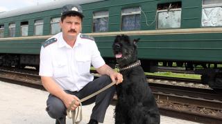 Служебный пес Лорд – незаменимый сотрудник линейного отдела полиции на станции Невинномысская